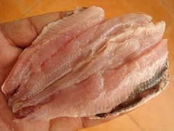 Fillets of sardines